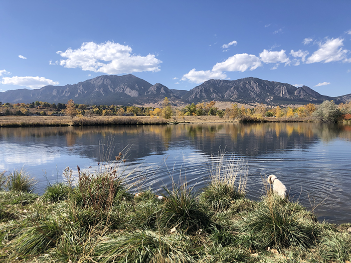 Danny and CC enjoy their time fishing and frogging
