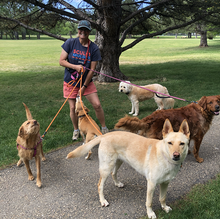 Gathering up the happy heard as we leave the park. Yuki, Mouse, Cassie, Cara, and Coopie